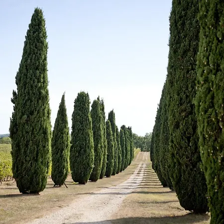 Village Des Elements *