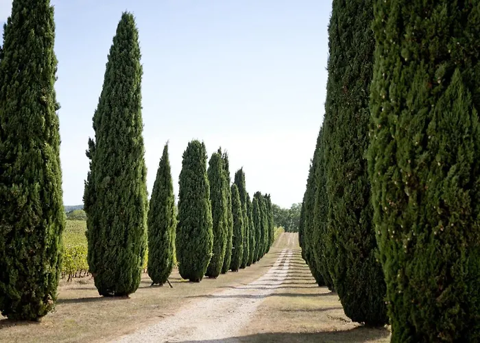 Village Des Elements *